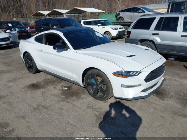 Auction sale of the 2022 Ford Mustang Ecoboost Fastback, vin: 1FA6P8TH3N5118274, lot number: 44603956