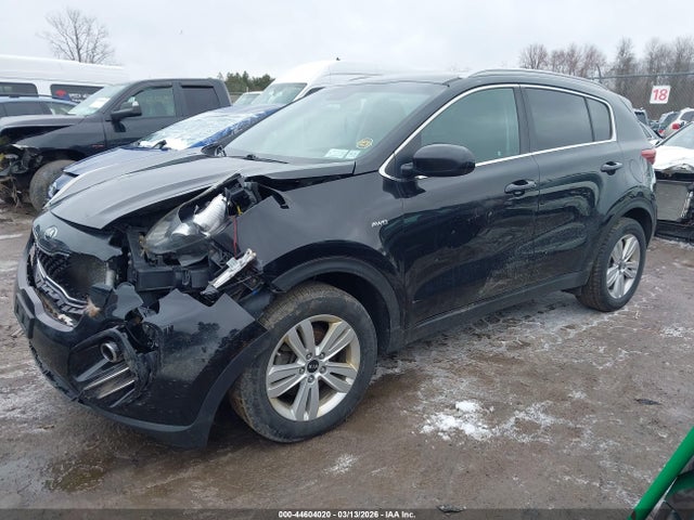 Продаж на аукціоні авто 2019 Kia Sportage Lx, vin: KNDPMCAC4K7541138, номер лоту: 44604020