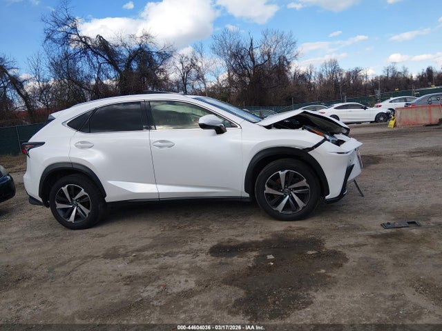 Aukcja sprzedaży 2019 Lexus Nx 300, vin: JTJBARBZ9K2207464, numer aukcji: 44604036