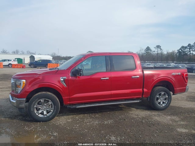 1FTFW1E84MFD03928 Ford F-150 Xlt