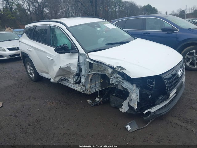 2024 HYUNDAI TUCSON 5NMJBCDE3RH406180