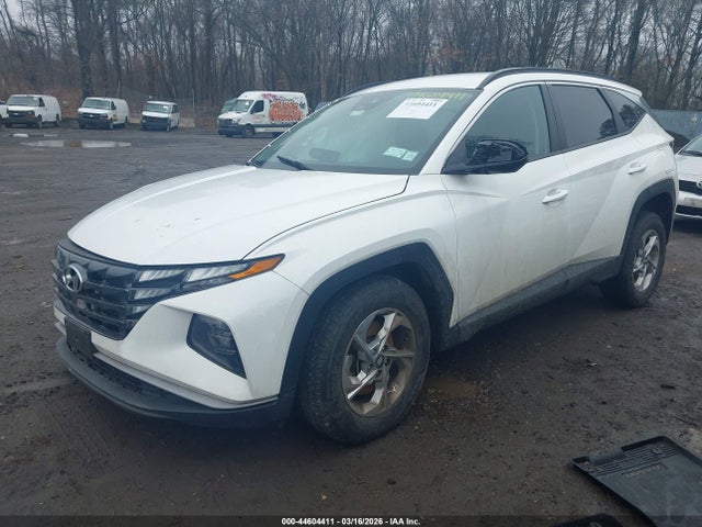 2024 HYUNDAI TUCSON 5NMJBCDE3RH406180 Photo 1