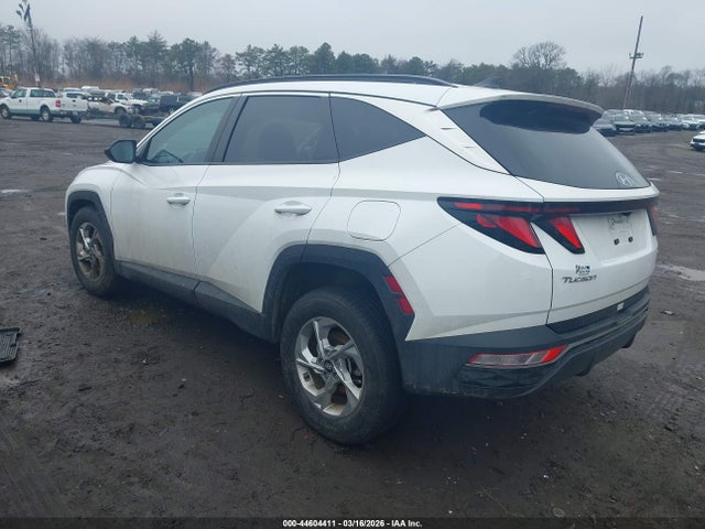 2024 HYUNDAI TUCSON 5NMJBCDE3RH406180 Photo 2