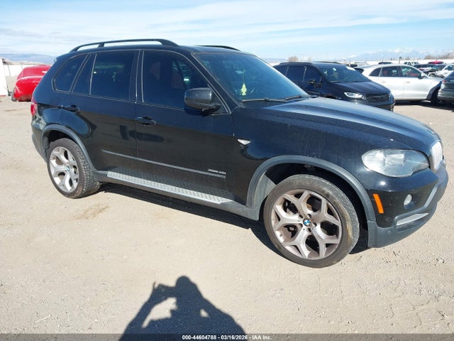 2009 BMW X5 5UXFE83579L171775