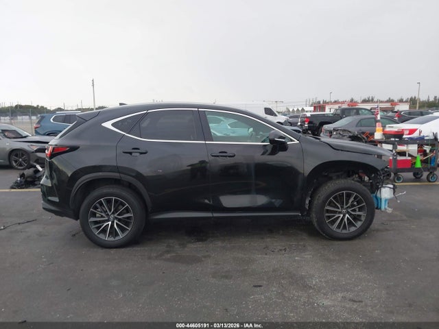 2023 Lexus Nx 250 მანქანა იყიდება აუქციონზე, vin: 2T2ADCAZXPC005502, აუქციონის ნომერი: 44605191