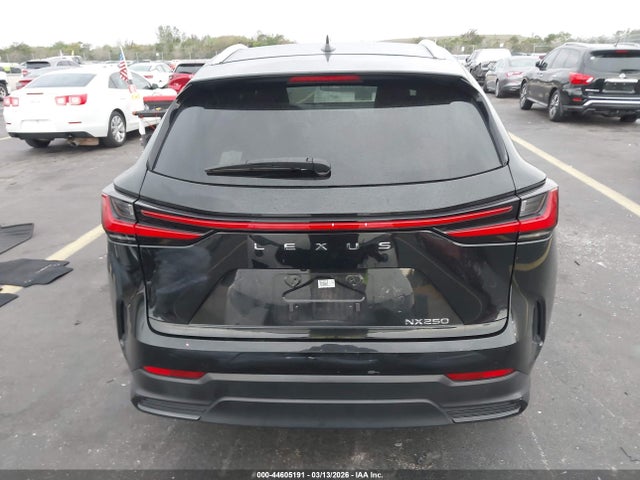 2023 Lexus Nx 250 მანქანა იყიდება აუქციონზე, vin: 2T2ADCAZXPC005502, აუქციონის ნომერი: 44605191