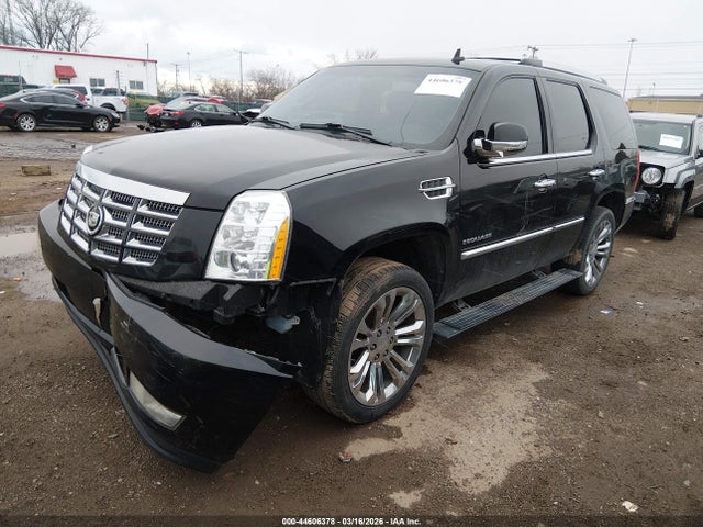 2011 CADILLAC ESCALADE 1GYS4CEF5BR364046 Photo 1
