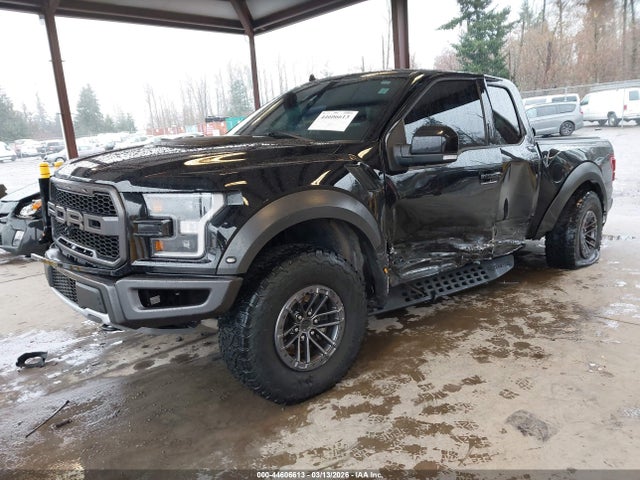 Ford F-150 Raptor 2020 1FTEX1RG1LFC65728 Image 2