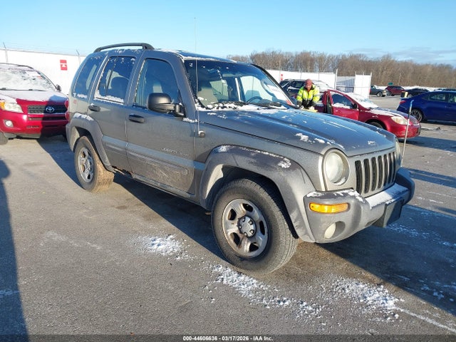 2003 JEEP LIBERTY 1J4GL48KX3W710361