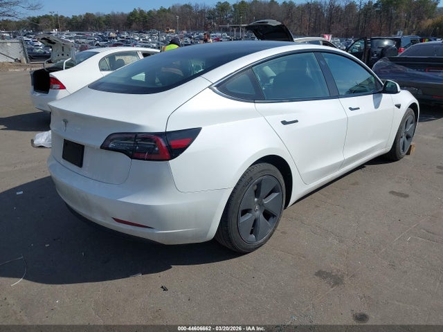 2023 TESLA MODEL 3 5YJ3E1EA6PF395187 Photo 3