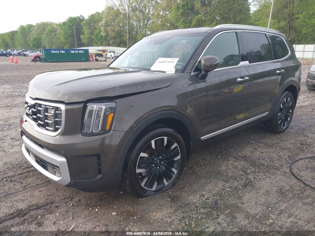 Продаж на аукціоні авто 2024 Kia Telluride Sx, vin: 5XYP5DGC2RG461683, номер лоту: 44607616