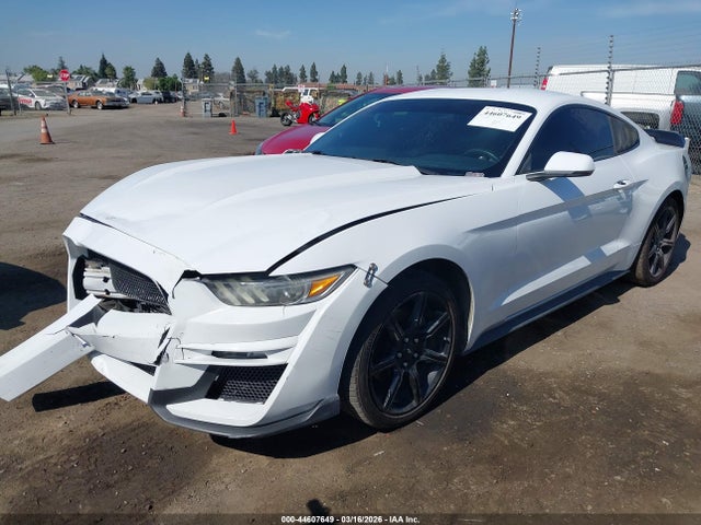 44607649 :رقم المزاد ، 1FA6P8TH1H5205207 vin ، 2017 Ford Mustang Ecoboost مزاد بيع