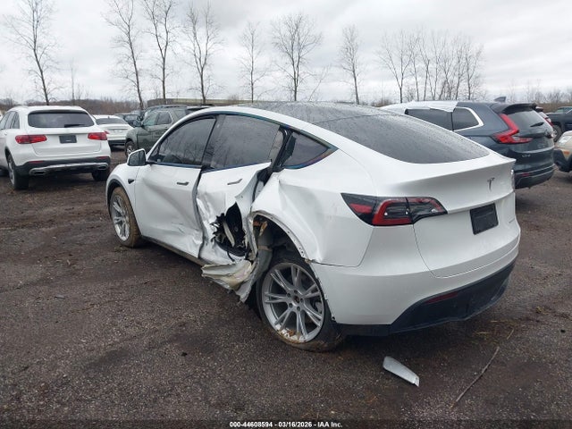 2023 TESLA MODEL Y 7SAYGDEE9PA062440 Photo 2