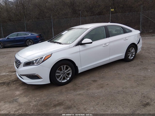 5NPE24AF5FH141958 Hyundai SONATA SE