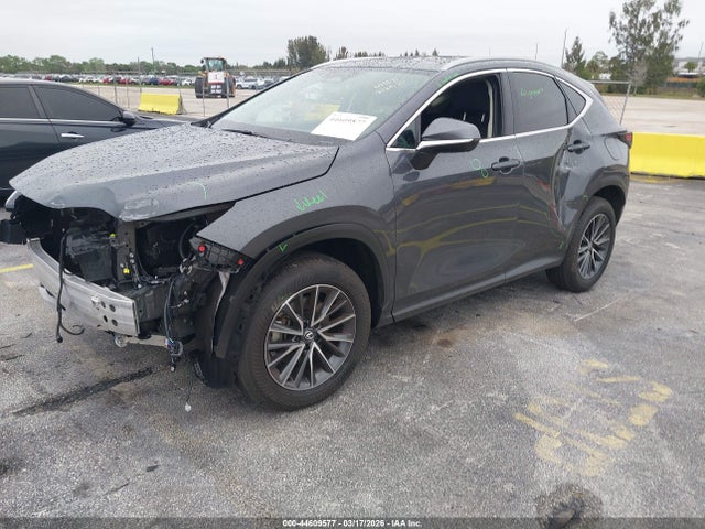 2025 Lexus Nx 250 Premium მანქანა იყიდება აუქციონზე, vin: 2T2GDCAZ4SC029393, აუქციონის ნომერი: 44609577