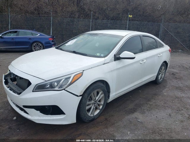 5NPE24AF3GH304320 Hyundai SONATA SE