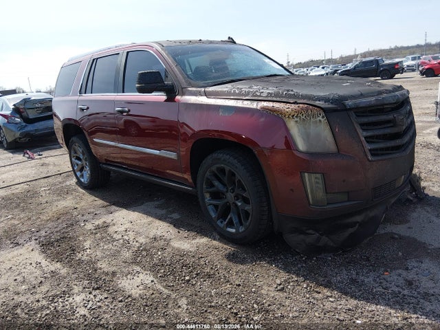 2020 Cadillac Escalade 4wd Platinum მანქანა იყიდება აუქციონზე, vin: 1GYS4DKJ3LR167800, აუქციონის ნომერი: 44611760