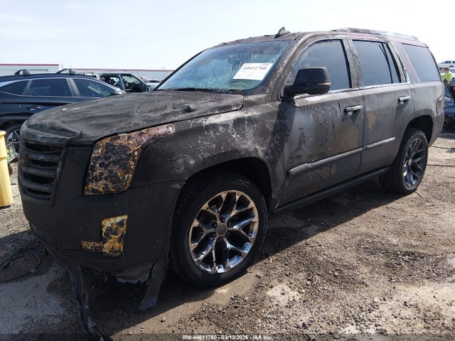 Продажа на аукционе авто 2020 Cadillac Escalade 4wd Platinum, vin: 1GYS4DKJ3LR167800, номер лота: 44611760