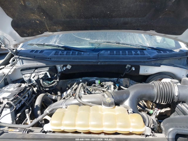 1FTEW1CPXKKC82142 Ford F-150 Xlt