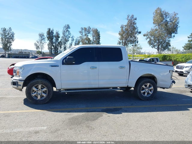 1FTEW1CPXKKC82142 Ford F-150 Xlt