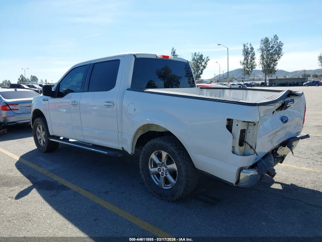 1FTEW1CPXKKC82142 Ford F-150 Xlt