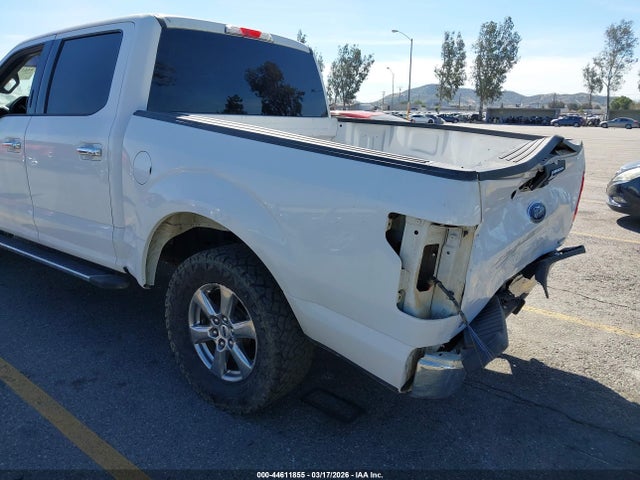 1FTEW1CPXKKC82142 Ford F-150 Xlt