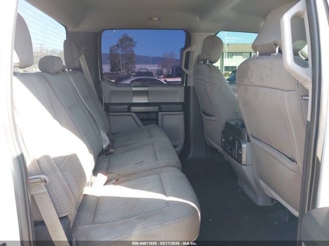 1FTEW1CPXKKC82142 Ford F-150 Xlt