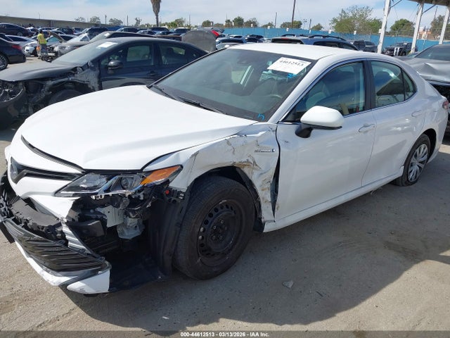 2019 TOYOTA CAMRY HYBRID 4T1B31HK3KU515884 Photo 1