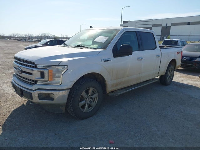 Aukcja sprzedaży 2020 Ford F-150 Xlt, vin: 1FTFW1E57LKE36680, numer aukcji: 44613107