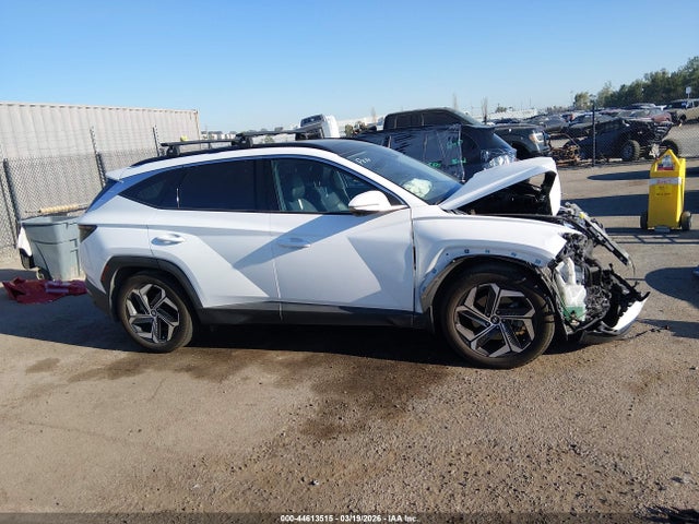 Hyundai Tucson Limited 2023 5NMJECAE6PH186008 Image 14