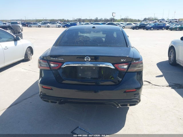 1N4AA6AV3KC381624 Nissan Maxima 3.5 Sv