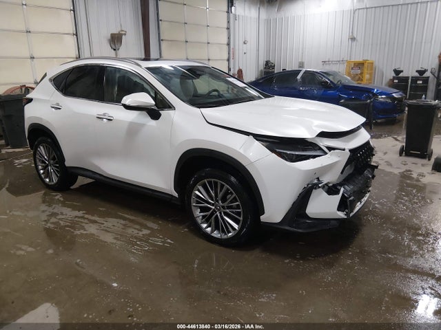 44613840 :رقم المزاد ، JTJGGCEZ1N5003936 vin ، 2022 Lexus Nx 350 Premium مزاد بيع