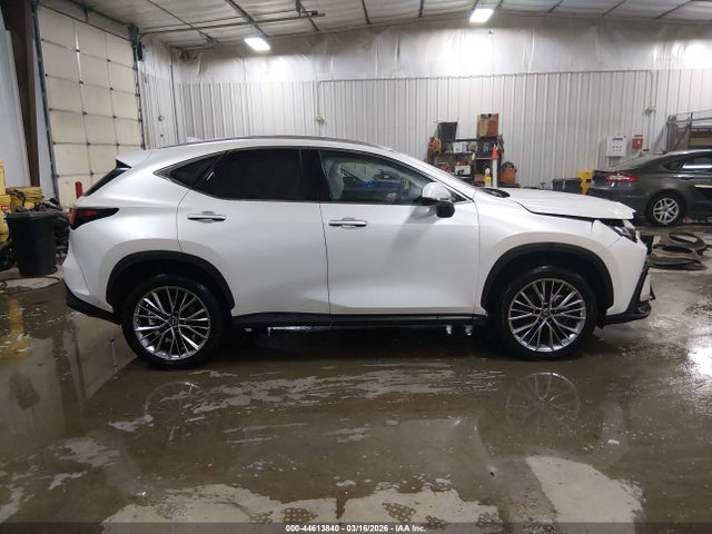 44613840 :رقم المزاد ، JTJGGCEZ1N5003936 vin ، 2022 Lexus Nx 350 Premium مزاد بيع