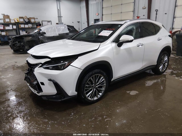 44613840 :رقم المزاد ، JTJGGCEZ1N5003936 vin ، 2022 Lexus Nx 350 Premium مزاد بيع
