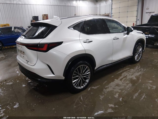 44613840 :رقم المزاد ، JTJGGCEZ1N5003936 vin ، 2022 Lexus Nx 350 Premium مزاد بيع