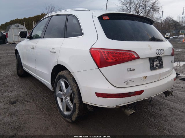 2010 AUDI Q5 WA1LKAFP0AA113213 Photo 2
