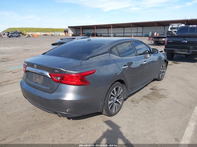1N4AA6AP5HC419560 Nissan Maxima 3.5 Sv