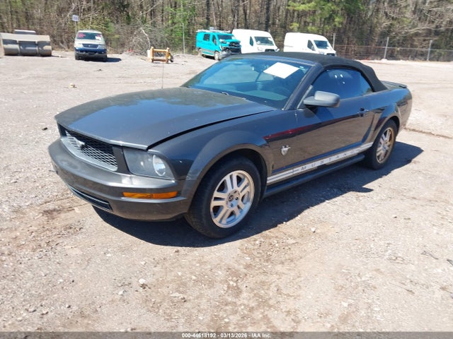 2009 FORD MUSTANG 1ZVHT84N495119245 Photo 1