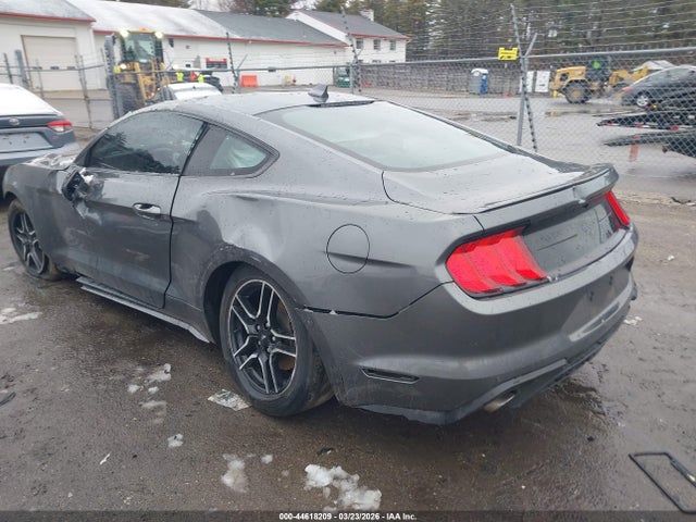 Ford Mustang Ecoboost Premium Fastback 2022 1FA6P8TH9N5101821 Image 3