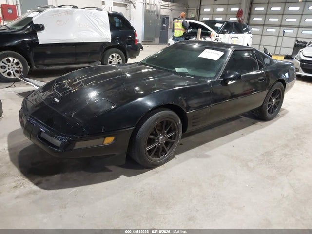 1992 CHEVROLET CORVETTE 1G1YY23P4N5114666 Photo 1