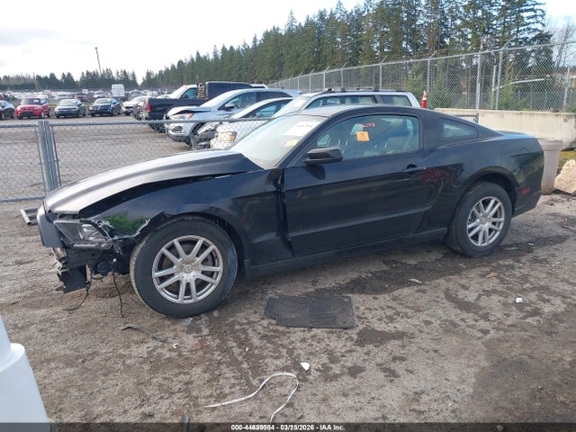 1ZVBP8AM3E5278824 Ford Mustang V6 Premium