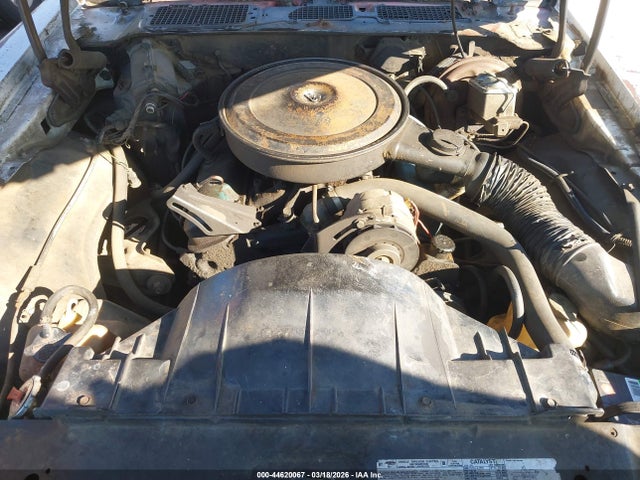 1978 PONTIAC FIREBIRD 00002U87Z8N146985 Photo 9