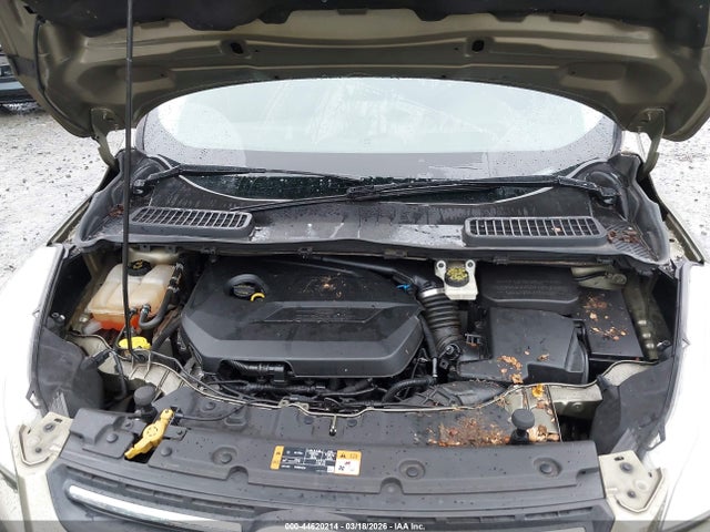 Ford ESCAPE SE 2014 1FMCU9GX8EUB01873 Image 10