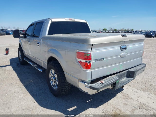 2010 FORD F-150 1FTEW1C83AKA77043 Photo 2