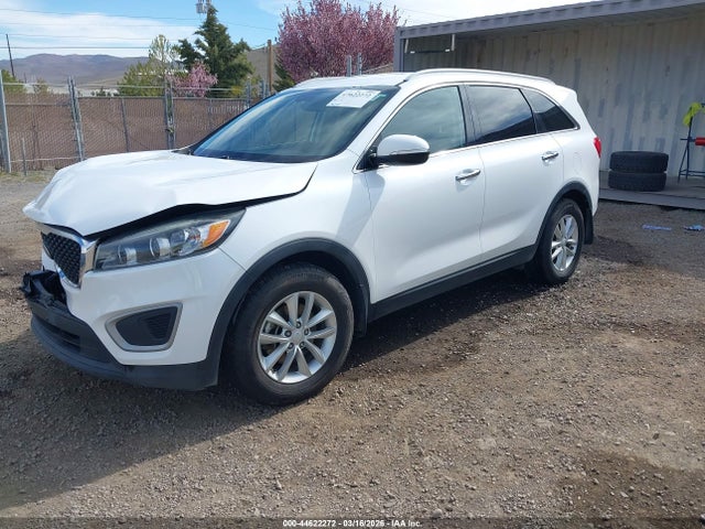 5XYPG4A37HG253056 KIA Sorento 2.4l Lx
