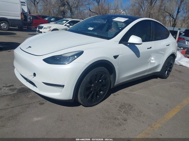 5YJYGDEE4MF151859 Tesla Model Y Long Range Dual Motor All-wheel Drive