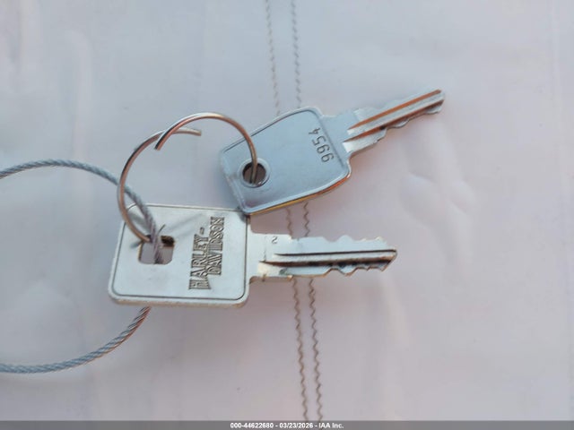 2001 HARLEY-DAVIDSON XL1200 1HD1CGP351K128498 Photo 10