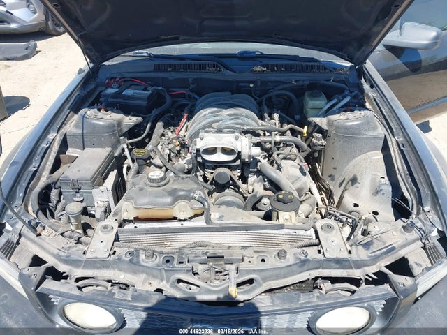 2005 FORD MUSTANG 1ZVFT82H555241823 Photo 9