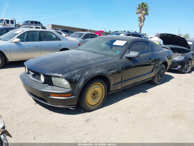 2005 FORD MUSTANG 1ZVFT82H555241823 Photo 1