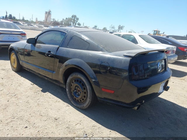2005 FORD MUSTANG 1ZVFT82H555241823 Photo 2
